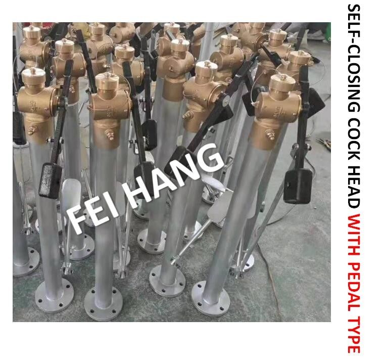 페달 타입 FH-DN40 Cb/T3778-99와 꼭지 머리를 자폐하기