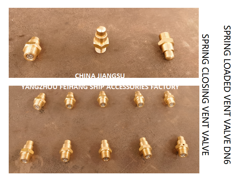 DN6 Brass Spring Loaded Vent Valve with Threaded Ends and CB/T3778-1999 Standard