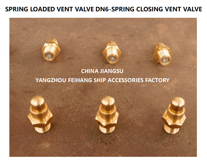 DN6 Threaded Spring Loaded Vent Valve with CB/T3778-1999 Standard for Marine Applications
