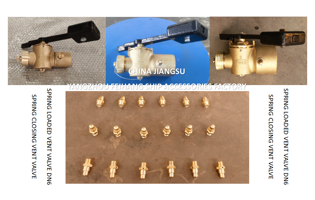 DN6 Spring Loaded Vent Valve with Threaded End Compliant with CB/T3778-1999 Standard