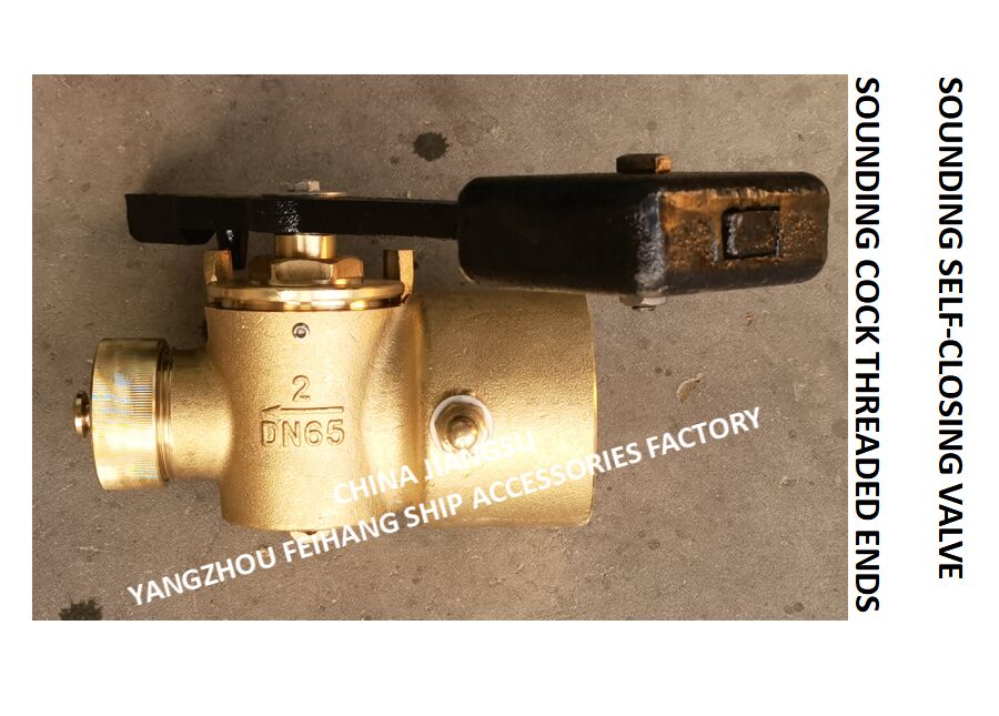 자기 닫히는 소닝 파이프 코크 & 자기 닫는 소닝 파이프 밸브 모델 DN65 CB/T3778-99